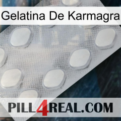 Karmagra Jelly 16